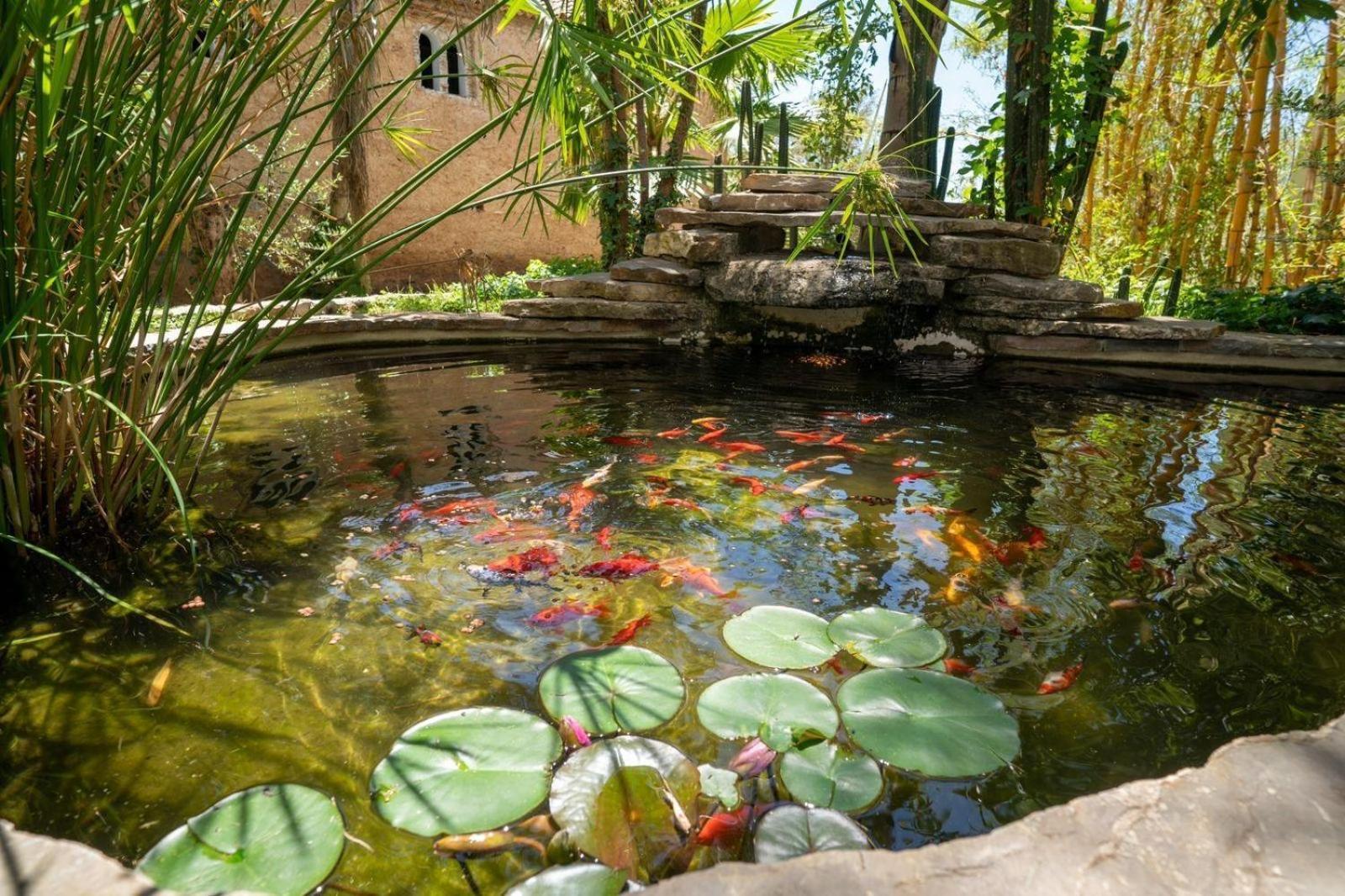Hotel Molino Garden Chefchaouen Ngoại thất bức ảnh