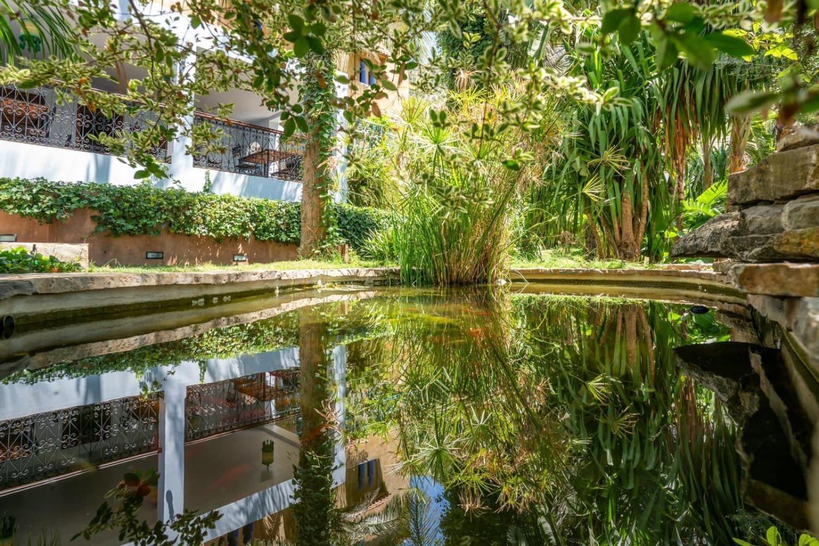 Hotel Molino Garden Chefchaouen Ngoại thất bức ảnh